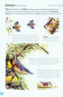 Field Guide to the Birds of Britain and Ireland - Mark Golley 2016